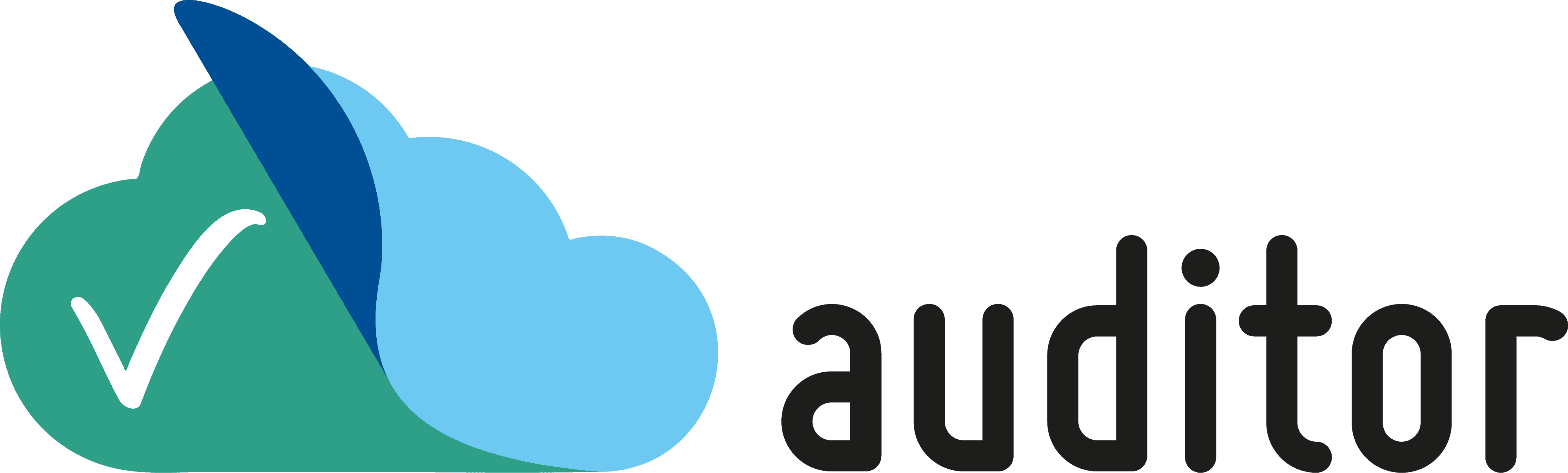 Auditor